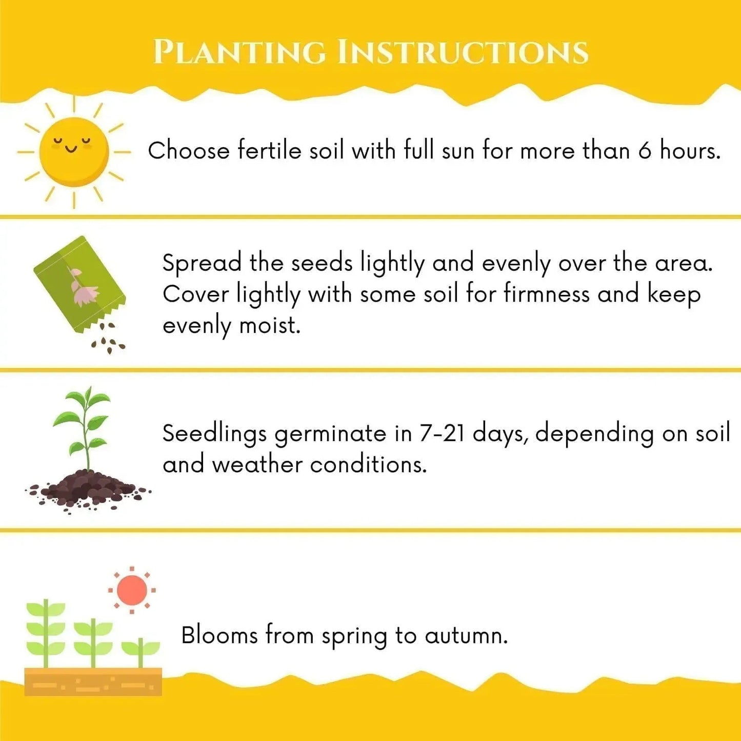 🌱Sweet Plum Growing Kit