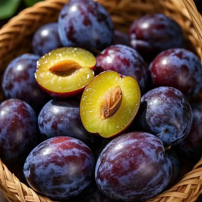 🌱Sweet Plum Growing Kit